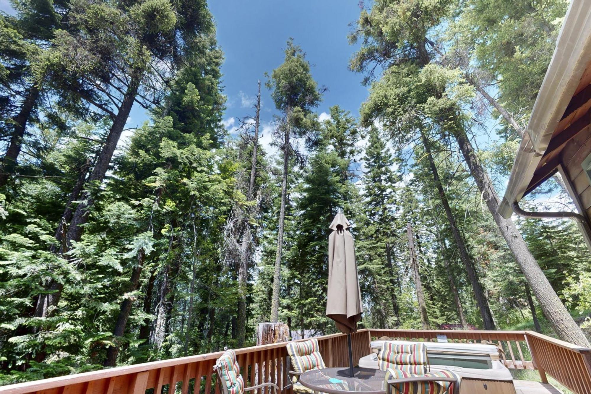 Pine Cone Cottage Joseph エクステリア 写真